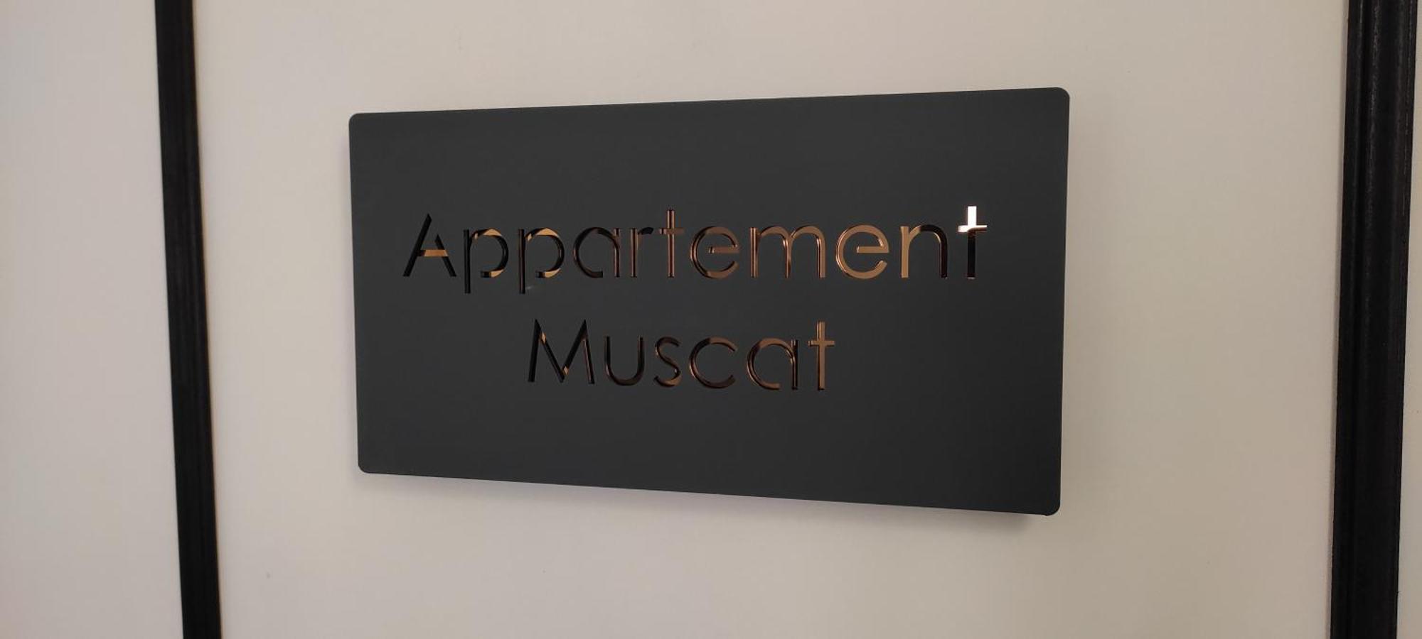 Les Souvenirs D'Alsace Apartment Colmar Exterior photo